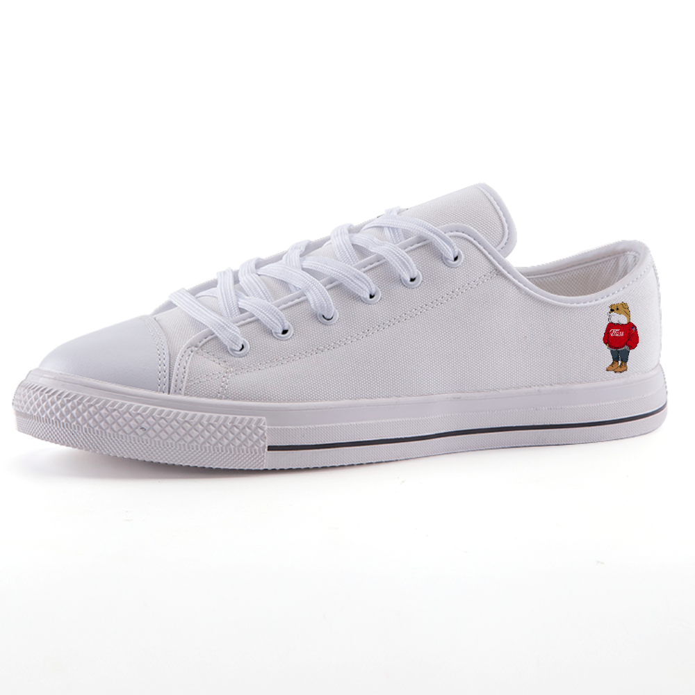 Low-top fashion canvas FLOSS & FLY shoes